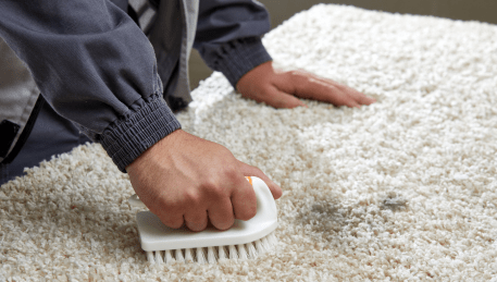Professional Rug Cleaning Laverton
